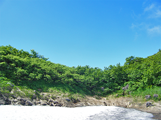 鳥海山の風景